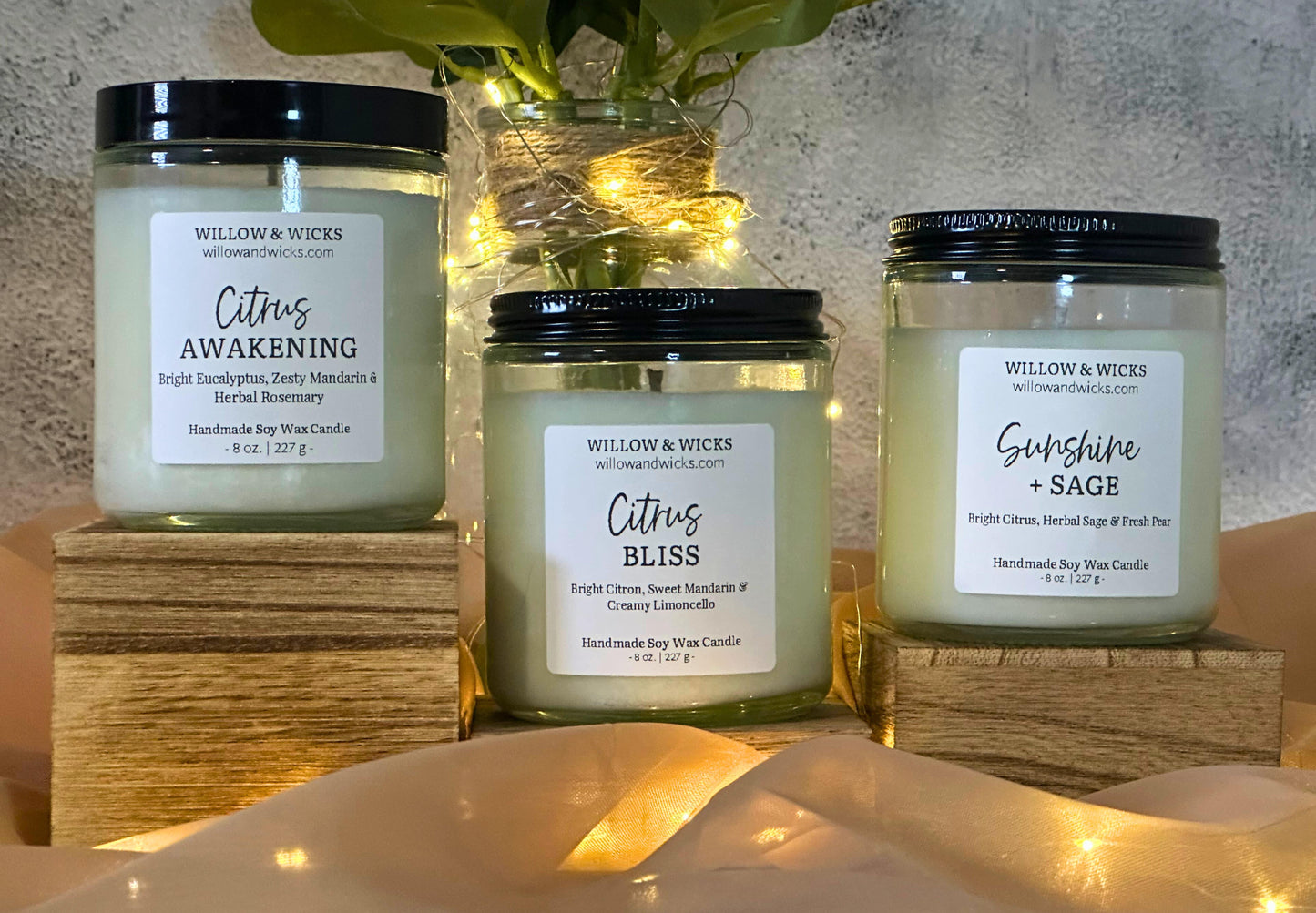 Citrus Awakening Candle | Eucalyptus, Mandarin & Rosemary