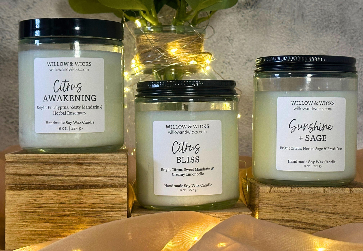 Citrus Awakening Candle | Eucalyptus, Mandarin & Rosemary