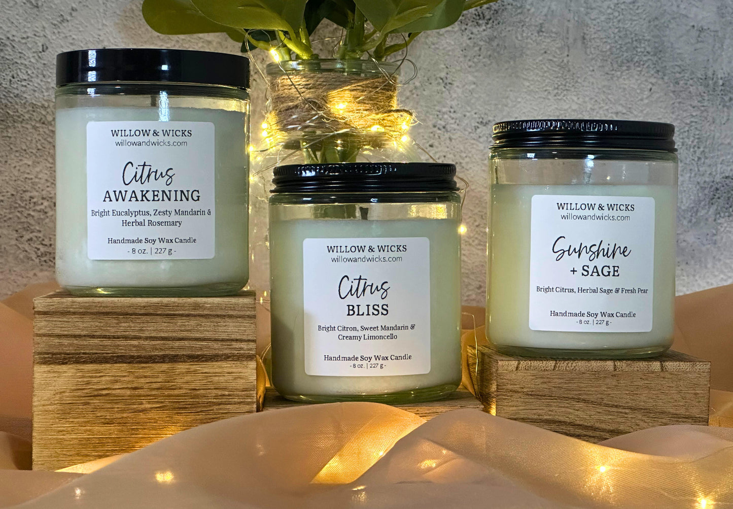 Citrus Awakening Candle | Eucalyptus, Mandarin & Rosemary